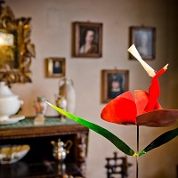 Fiori d'arte... - ph. Fabio Cattabiani